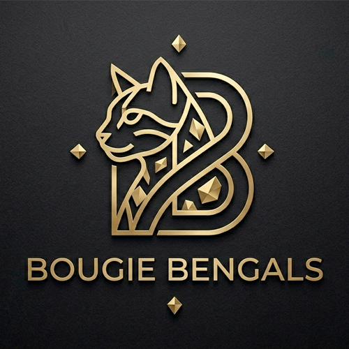 Bougie Bengals Logo